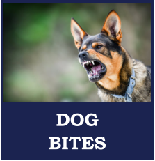 Michigan Dog Bites attorney, Upper Michigan Dog Bites lawyer, Upper Michigan Dog Bites attorney, Upper Peninsula Dog Bites lawyer, Upper Peninsula Dog Bites attorney