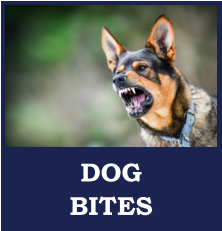 Lawyers for Dog Bites in Iron Mountain Michigan