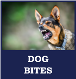 Attorneys for Dog Bites in Kingsford Michigan