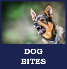 Dog Bite Attorneys in Upper Pensinsula